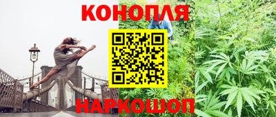 шишки Усть-Джегута