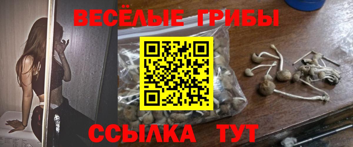 Мурино  Псилоцибиновые грибы MAGIC MUSHROOMS  Вход с VPN 